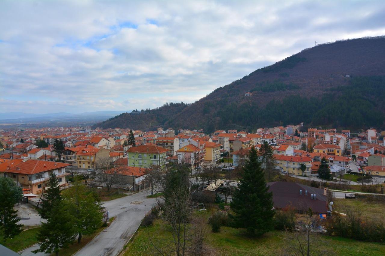 Hotel King Alexander Florina Esterno foto