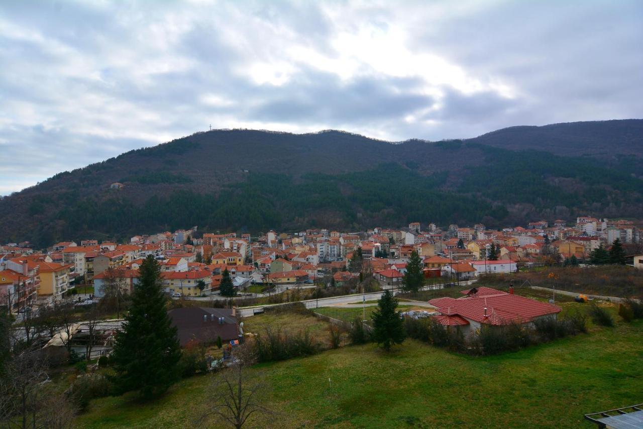 Hotel King Alexander Florina Esterno foto
