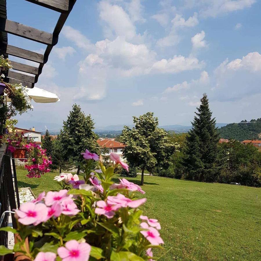 Hotel King Alexander Florina Esterno foto